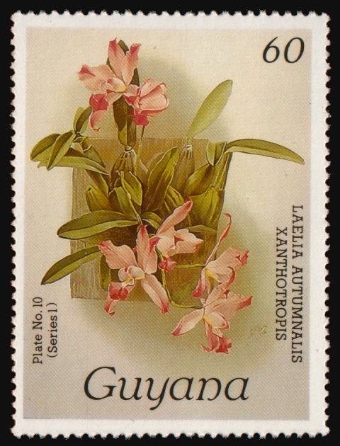 Heilsarmee-Briefmarken | Salvation Army Stamps
