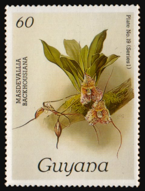 Heilsarmee-Briefmarken | Salvation Army Stamps