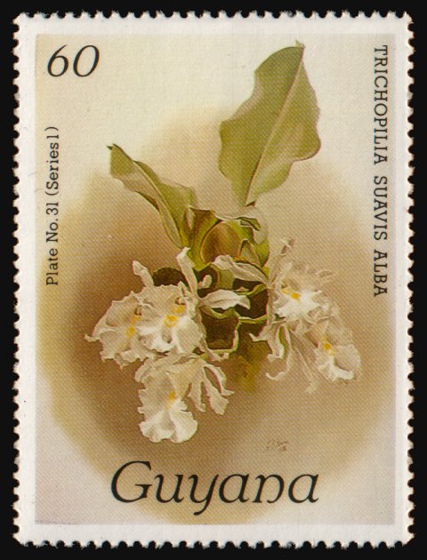 Heilsarmee-Briefmarken | Salvation Army Stamps