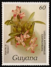 Heilsarmee-Briefmarken | Salvation Army Stamps