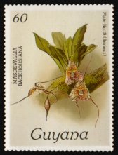 Heilsarmee-Briefmarken | Salvation Army Stamps