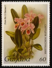 Heilsarmee-Briefmarken | Salvation Army Stamps